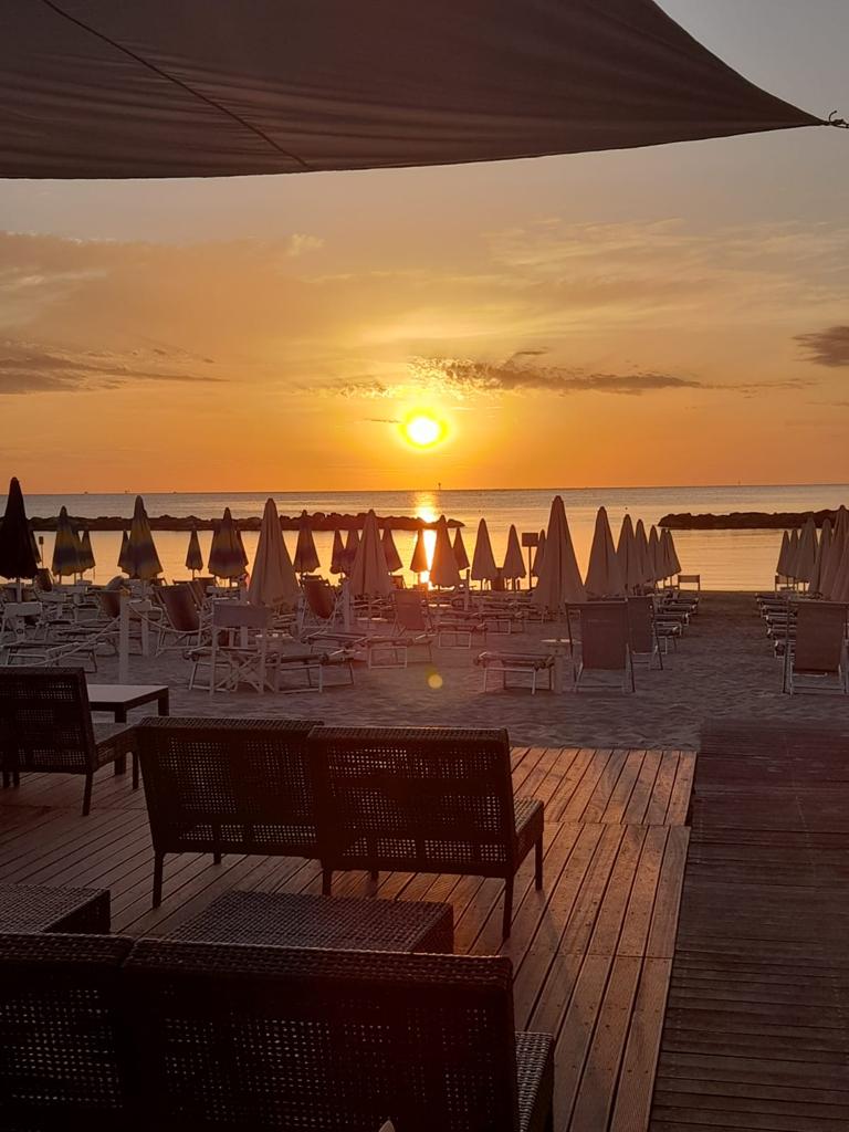 WhatsApp Image 2023-02-01 at 16.42.12